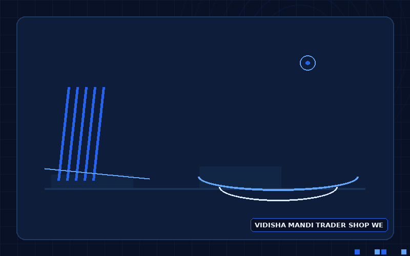 Custom website versus generic template comparison for a Vidisha mandi trader and riverside shop